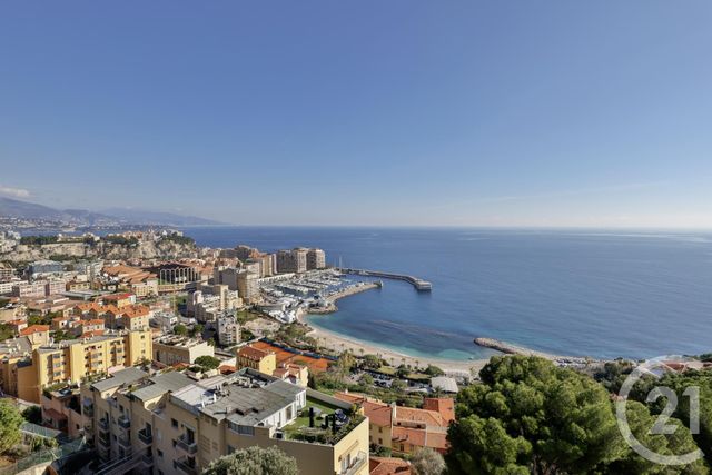 appartement - CAP D AIL - 06