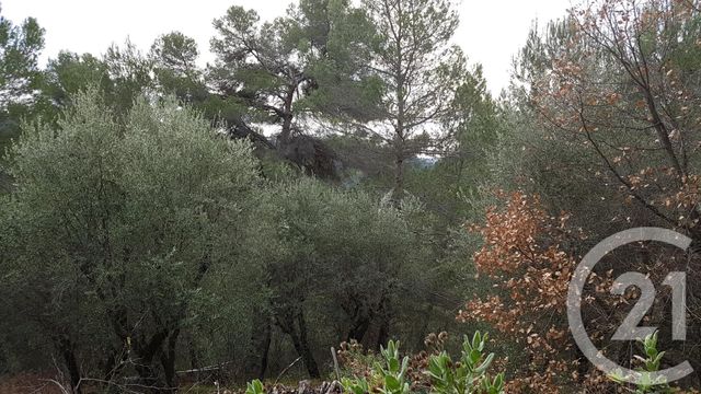 Terrain à vendre - 3764 m2 - Colomars - 06 - PROVENCE-ALPES-COTE-D-AZUR