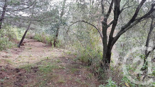terrain - COLOMARS - 06