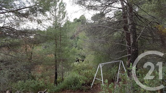 Terrain à vendre - 3764 m2 - Colomars - 06 - PROVENCE-ALPES-COTE-D-AZUR