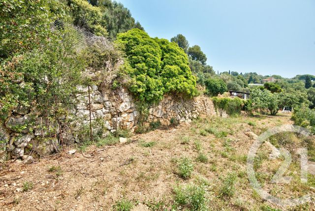 Terrain à vendre - 1640 m2 - Nice - 06 - PROVENCE-ALPES-COTE-D-AZUR