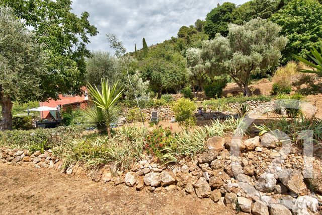 Terrain à vendre - 11600 m2 - Aspremont - 06 - PROVENCE-ALPES-COTE-D-AZUR