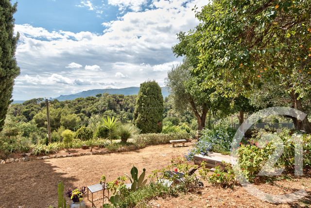 Terrain à vendre - 11600 m2 - Aspremont - 06 - PROVENCE-ALPES-COTE-D-AZUR