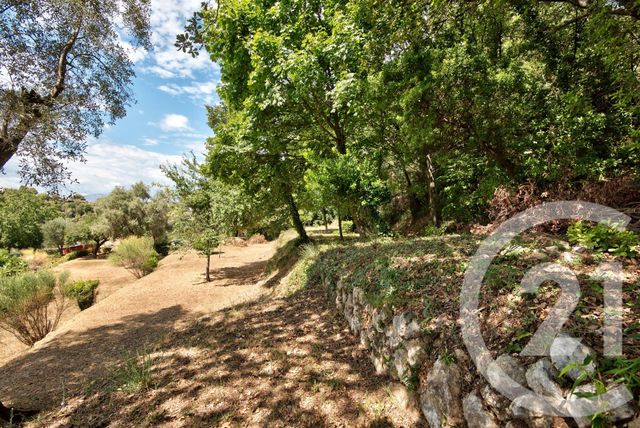Terrain à vendre - 11600 m2 - Aspremont - 06 - PROVENCE-ALPES-COTE-D-AZUR