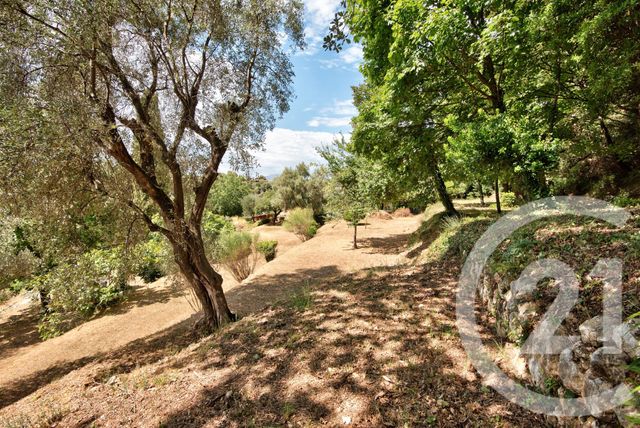 Terrain à vendre - 11600 m2 - Aspremont - 06 - PROVENCE-ALPES-COTE-D-AZUR