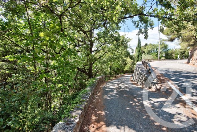 Terrain à vendre - 11600 m2 - Aspremont - 06 - PROVENCE-ALPES-COTE-D-AZUR