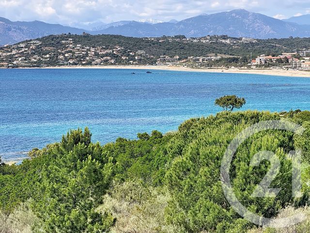 Appartement F4 &agrave; vendre - 4 pi&egrave;ces - 175 m2 - Pietrosella - 201 - CORSE